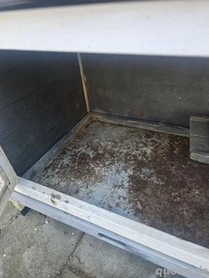 Kaninchen Stahl Bild 6