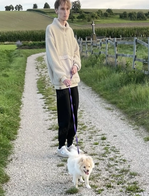 Pomeranien Zwergspitz  Bild 10