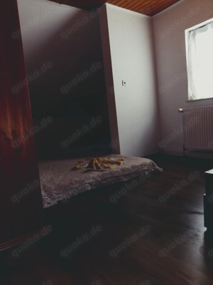 Appartments zum vermitten