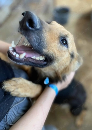 Mia R ca. 47 cm   fühlt sich nun sicher