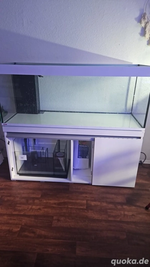 eheim imperal reff 530 meerwasser Becken 