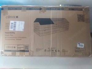 Hase  Kaninchen Stall