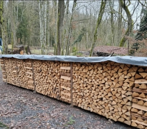 Brennholz Buche   Esche ofenfertig 