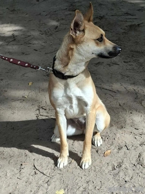     Indra sucht aktive Menschen     Bild 2