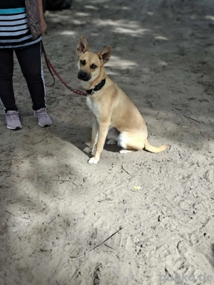     Indra sucht aktive Menschen    