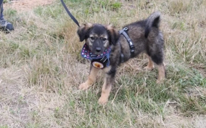 Liv wartet schon auf Deine Anfrage!