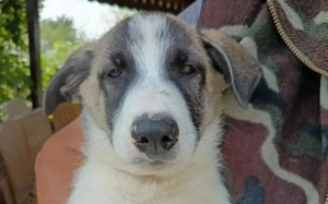 Pierre wartet auf seine Familie