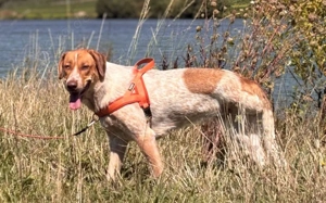 Alisa sucht Menschen mit großem Herz