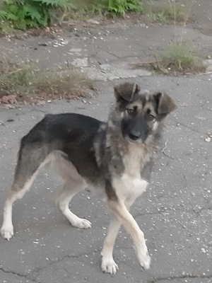 Moré   zarte Seele mit großem Herzen