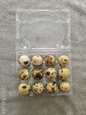 Wachteleier Speiseeier Wachtel