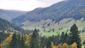 Jetzt kommt die Kuschelzeit.