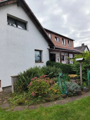 600 qm Garten mit Häuschen Nähe Käfertaler Wald Bild 3 600 qm Garten mit Häuschen Nähe Käfertaler Wald Bild 3