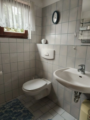 600 qm Garten mit Häuschen Nähe Käfertaler Wald Bild 6 600 qm Garten mit Häuschen Nähe Käfertaler Wald Bild 6