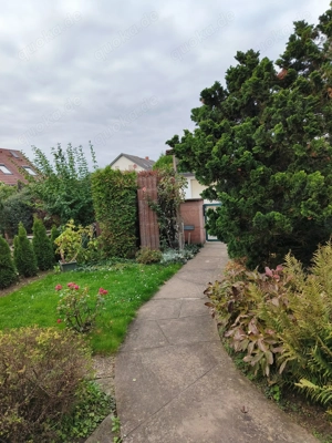 600 qm Garten mit Häuschen Nähe Käfertaler Wald Bild 4 600 qm Garten mit Häuschen Nähe Käfertaler Wald Bild 4