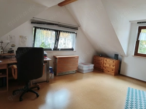 600 qm Garten mit Häuschen Nähe Käfertaler Wald Bild 11 600 qm Garten mit Häuschen Nähe Käfertaler Wald Bild 11