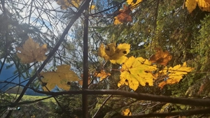 Wo ist der liebevolle Kuschelmann.