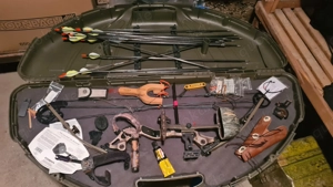 Compound Bogen Viper Redline, 60-70 pound