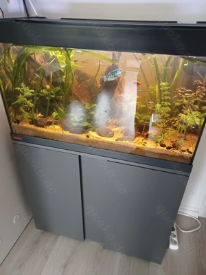 Eheim 120 Liter Aquarium mit Unterschrank