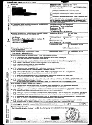 Griechische Schildkröten NZ 2025 !alle für dieses Jahr verkauft! Bild 9