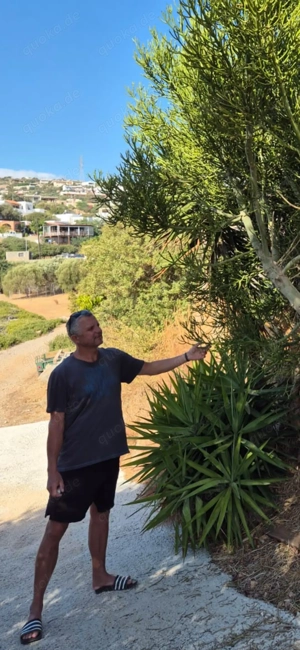 Suche guten Kumpel im Raum Illertissen.