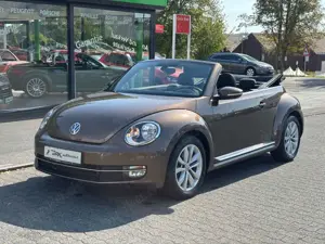 Volkswagen Beetle Cabriolet Design BMT **NAVI*SHZ*2-HAND**