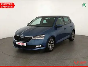 Skoda Fabia 1.0 TSI Clever LED Navi ACC Panorama DAB