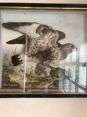 2 antike Reliefbilder von Vögeln Bild 4