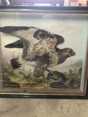 2 antike Reliefbilder von Vögeln Bild 2