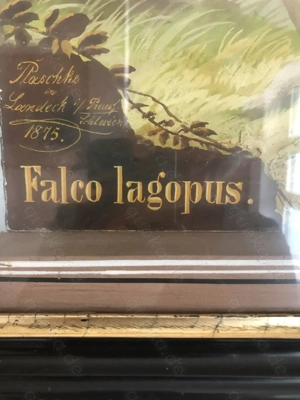 2 antike Reliefbilder von Vögeln