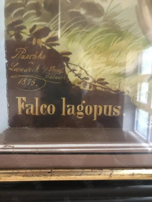 2 antike Reliefbilder von Vögeln Bild 3