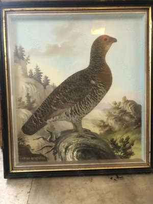 2 antike Reliefbilder von Vögeln Bild 10