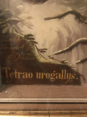 2 antike Reliefbilder von Vögeln Bild 6