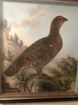 2 antike Reliefbilder von Vögeln Bild 7