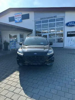 Ford Kuga Plug-In Hybrid ST-Line X Bild 2