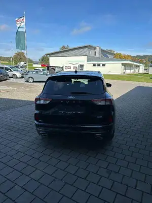 Ford Kuga Plug-In Hybrid ST-Line X Bild 5