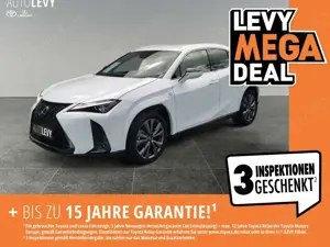 Lexus UX 250h F-Sport AWD LEDER*CARPLAY*Mark Levinson