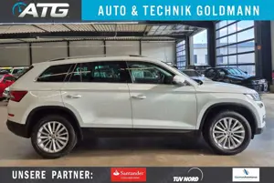 Skoda Kodiaq KODIAQ 2.0 TDI Style 4x4 NAVI LED SITZHZ CAM AHK