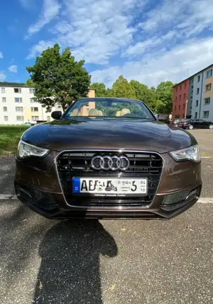 Audi A5 Cabrio 3.0 TDI DPF quattro S tronic Bild 4