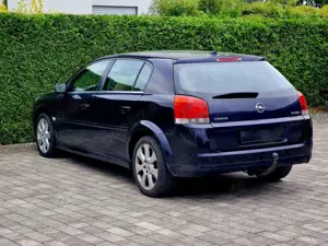 Opel Signum Cosmo Bild 5