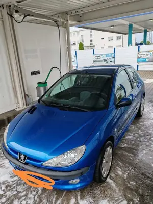 Peugeot 206 206 75 Grand Filou Bild 5