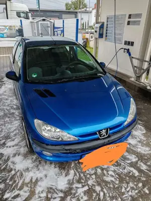 Peugeot 206 206 75 Grand Filou Bild 3