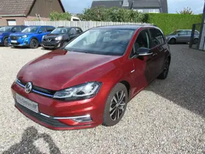Volkswagen Golf VII 1.5 TSI IQ.DRIVE