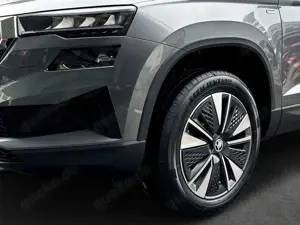 Skoda Karoq 1.5 TSI ACT DSG Selection Bild 5