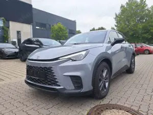 Lexus LBX 1.5 Komfort Paket *Klima, Navi, CarPlay, uvm*