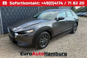 Mazda CX-30 2.0 48V ACC 360 Totwinkel Keyless SHZ