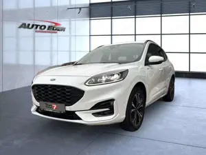 Ford Kuga ST-Line X 2.5 Plug-In Hybrid Bluetooth Navi Bild 2