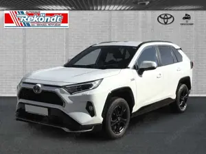 Toyota RAV 4 2.5 Plug-in Hybrid 4x4 SEGEBERG Kamera SHZ LHZ ACC