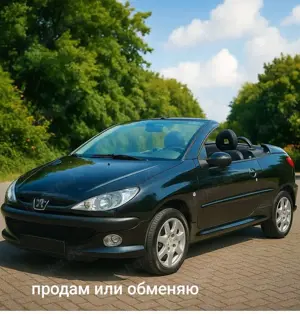 Peugeot 206 110 Capriorit
