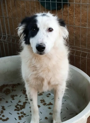 Lambada hätte gerne mehr Zuwendung