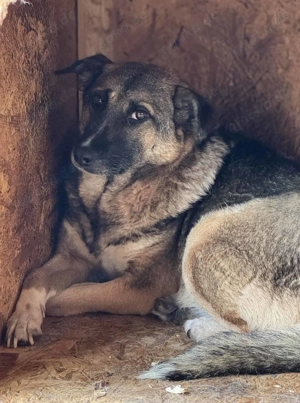 Elli K ca. 45 cm   die Sanfte